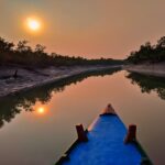 Sunrise Wildlife Safari Sundarban