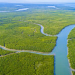 Aerial Wildlife Safari Sundarban